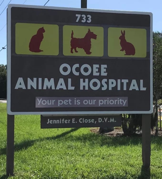 Ocoee Animal Hospital, Florida, Ocoee